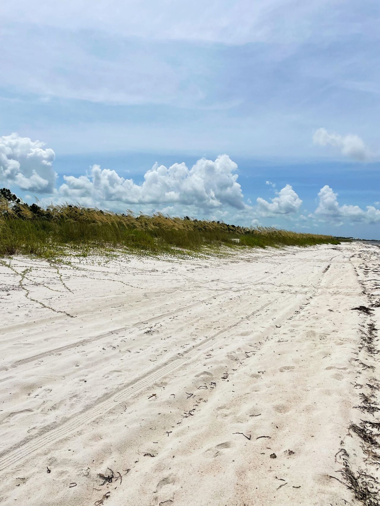 Wide white sand beach with tire tracks, sea oats along the dunes, and puffy clouds over a blue sky