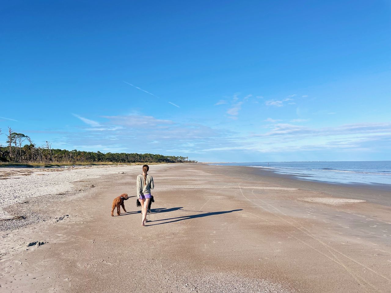 Holly walks the dogs at Hunting Island