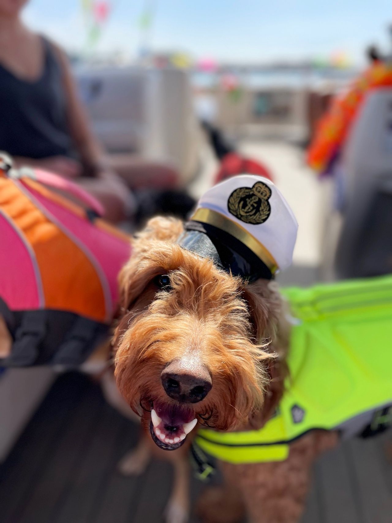 Portrait of Remi with a captains hat