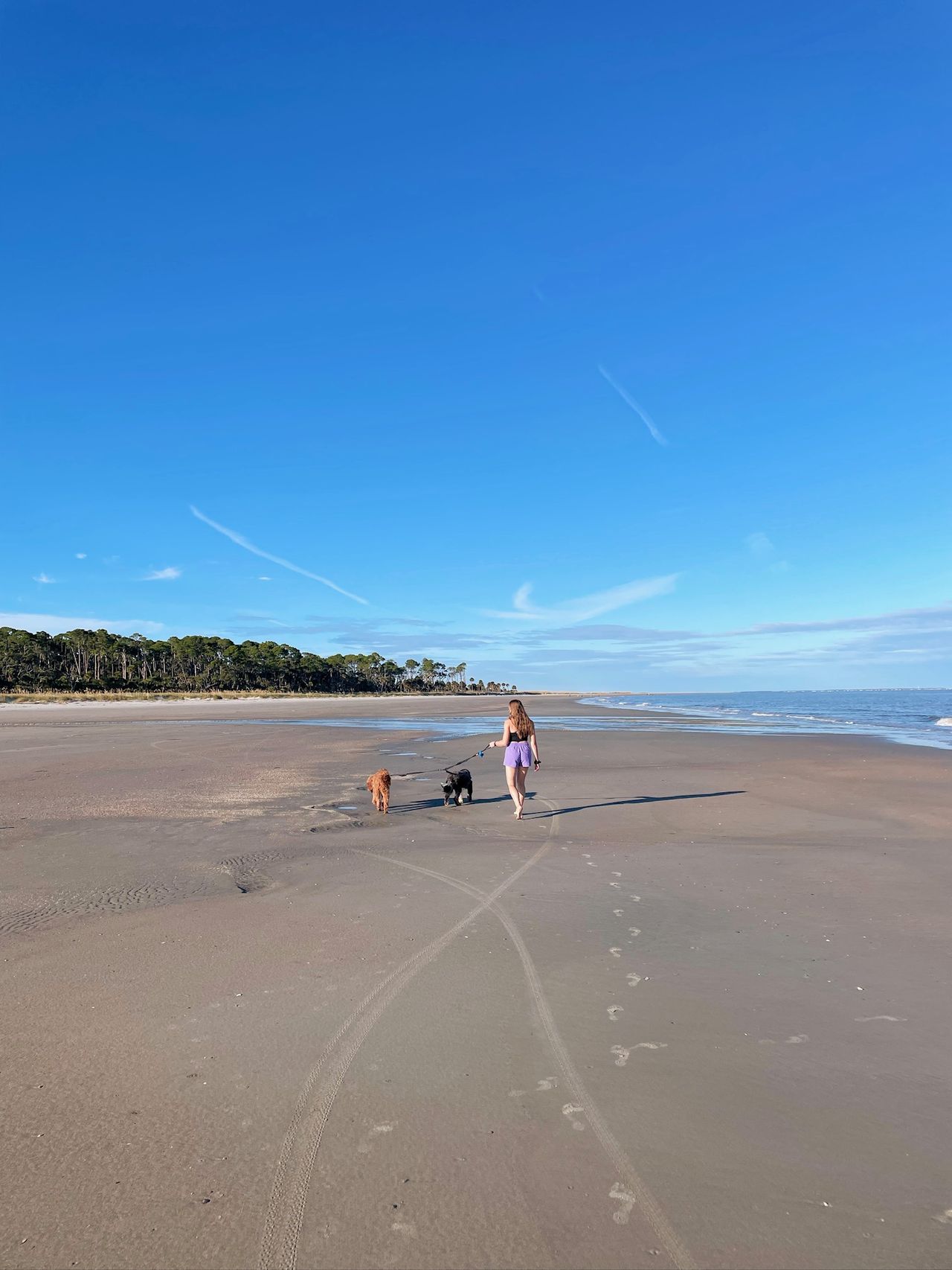Hunting Island beach scene