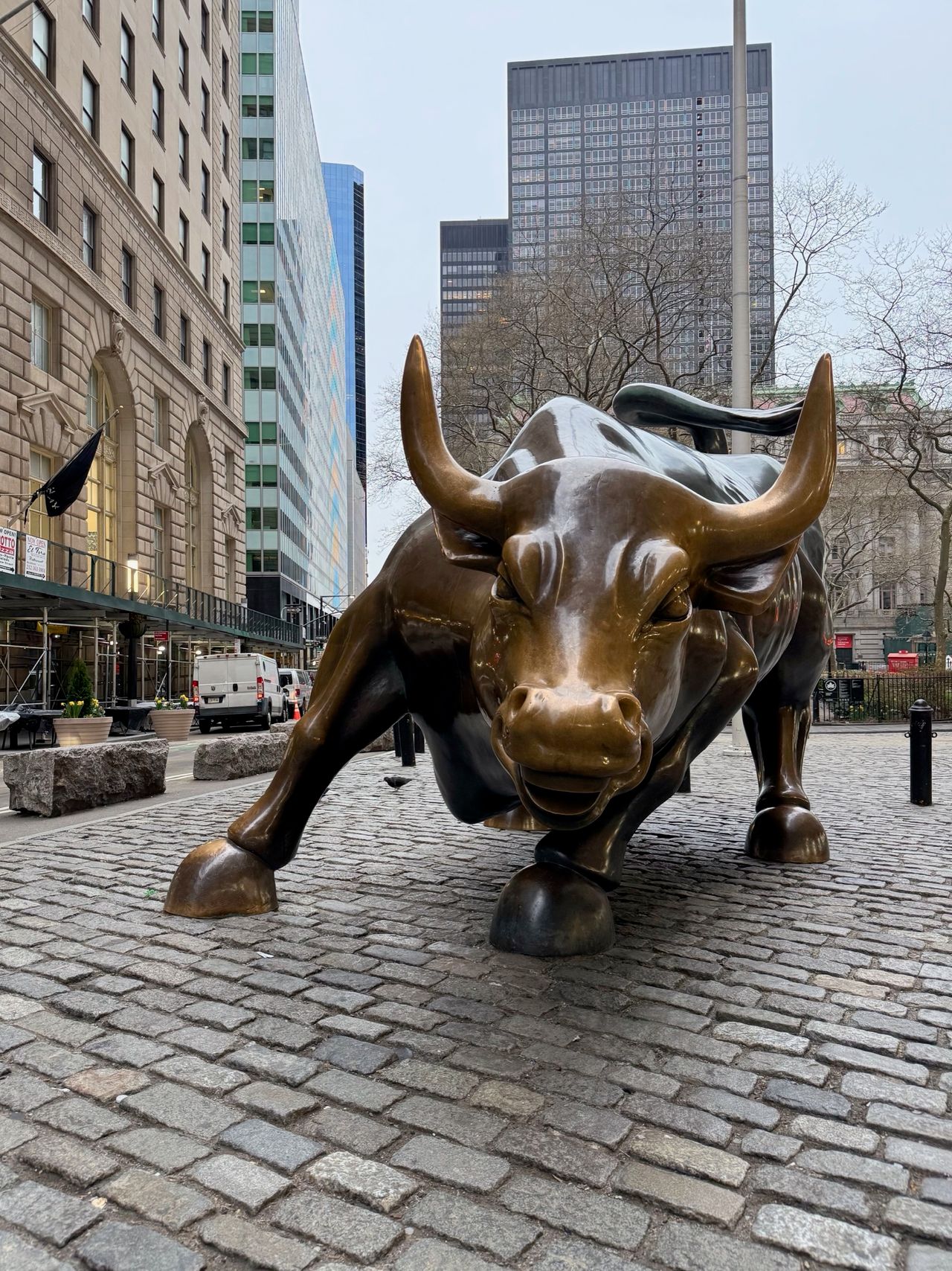 A large bronze charging bull stands on cobblestones in front of historic Financial District buildings, head lowered and horns forward.