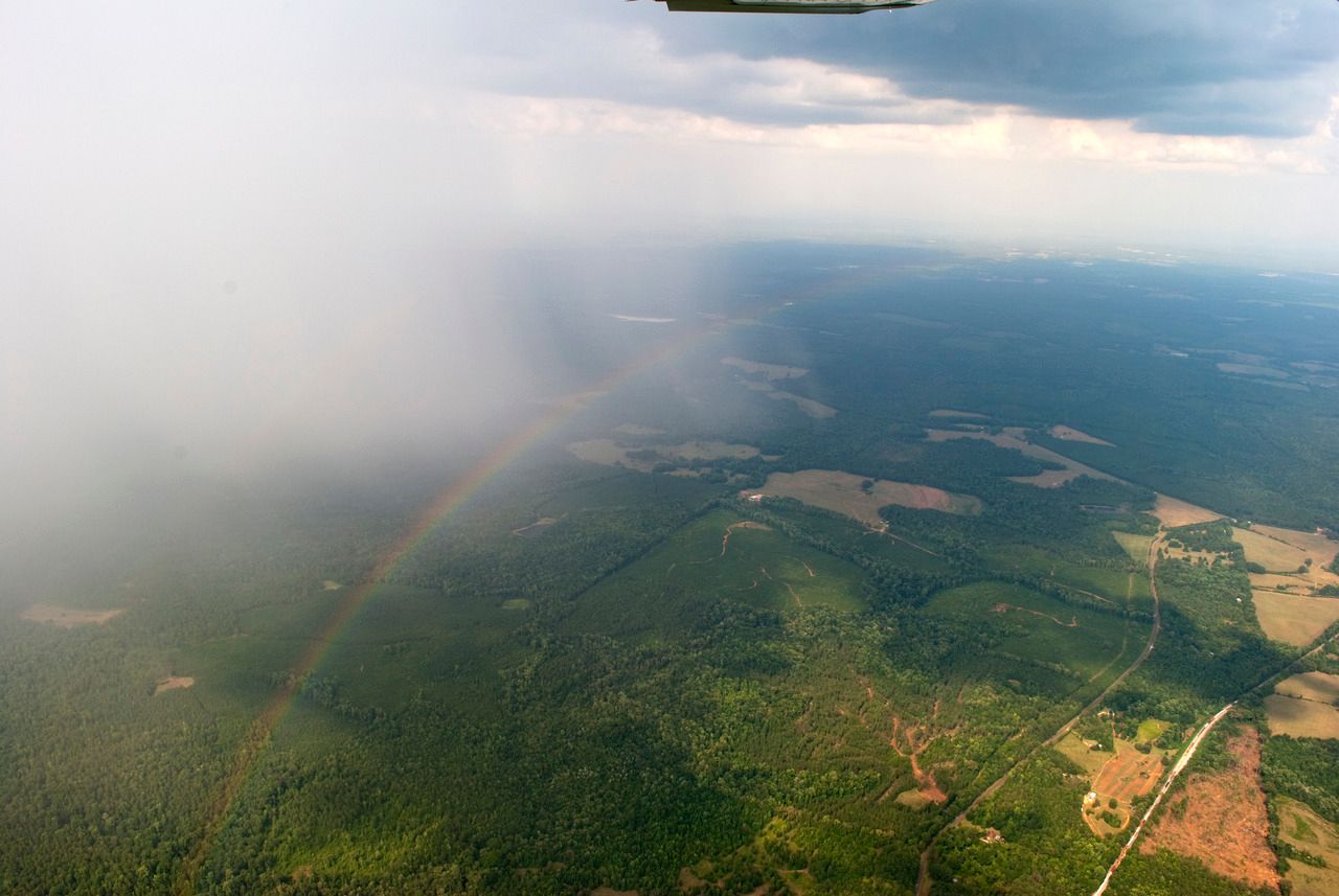 A Day Flying