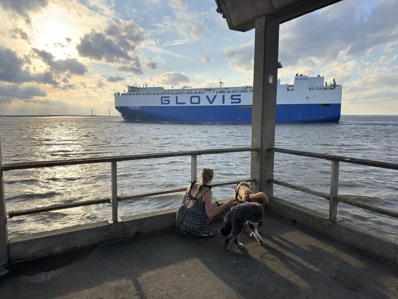 From another angle Holly, Remi and Otto watch a large cargo ship with GLOVIS written across the side pass.