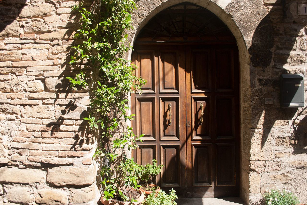 A vine grows along a door in Bevagna