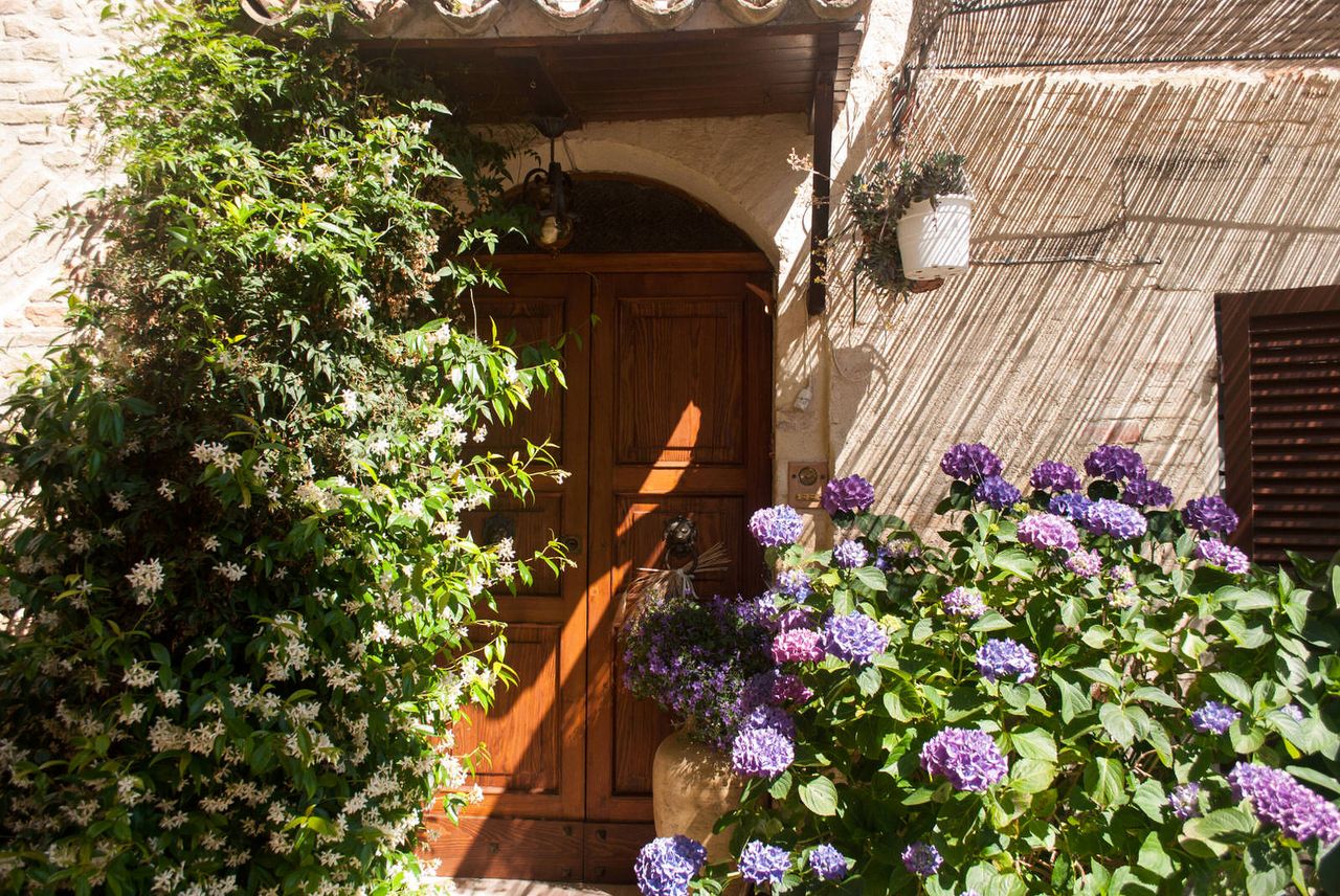 A flower-covered doorway in Montefalco