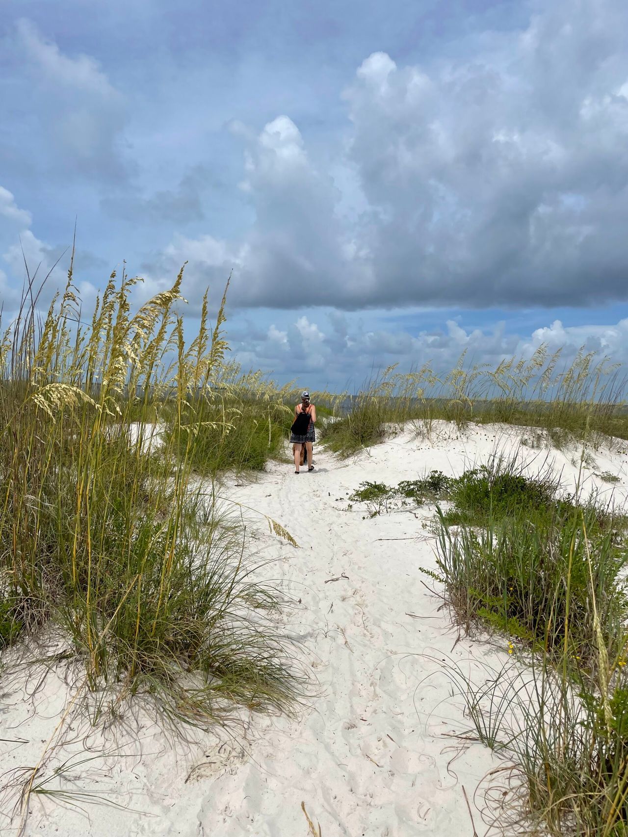Holly walking the dogs down a small sandy path to the beach.
