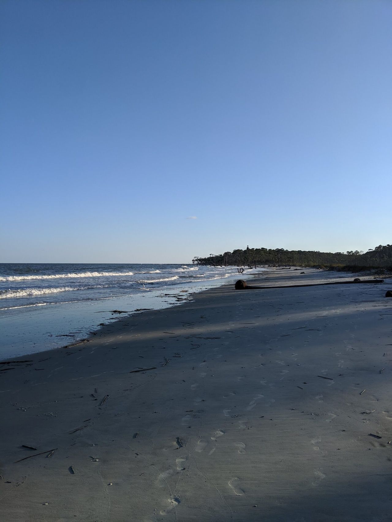 Driftwood beaches of Hunting Island.