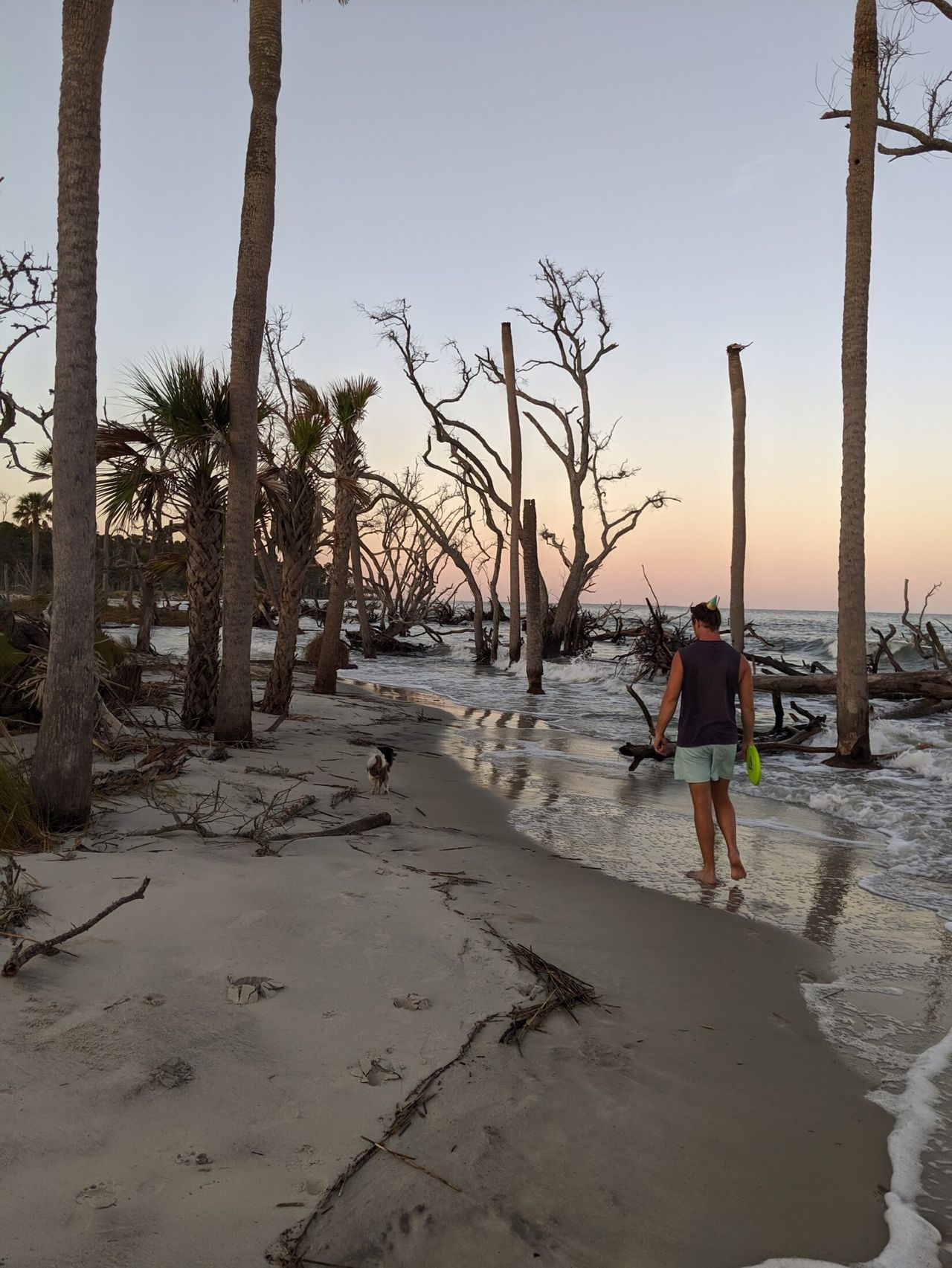 Blake and Taco walking along driftwood beaches.