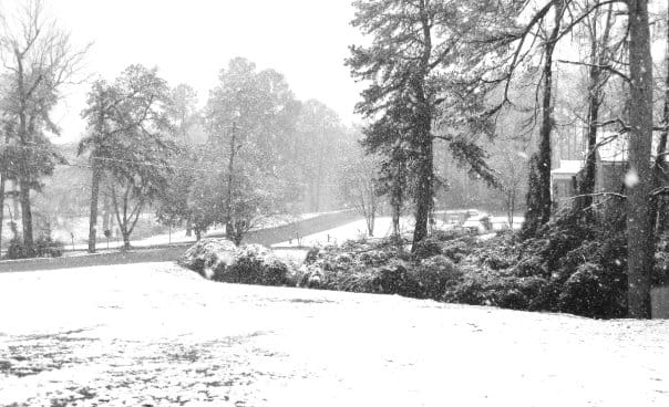 The fraternity house front yard covered in snow.