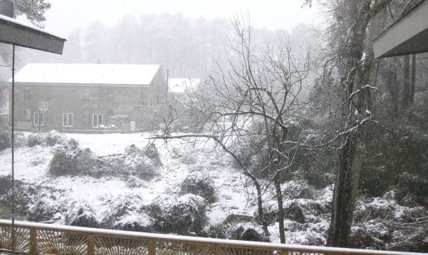 View across the creek in the snow.