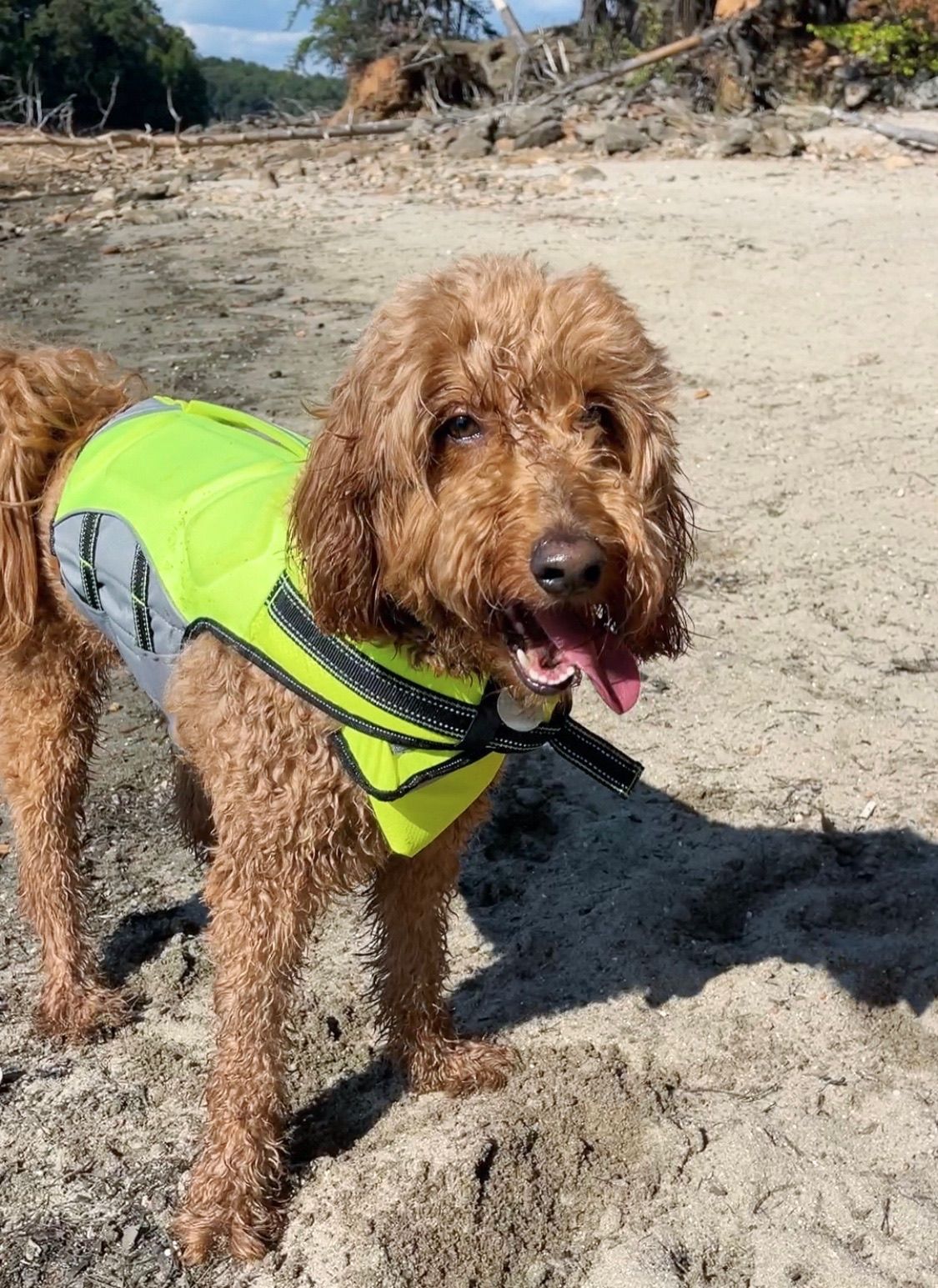 Portrait of Remi with a life jacket on the beach.