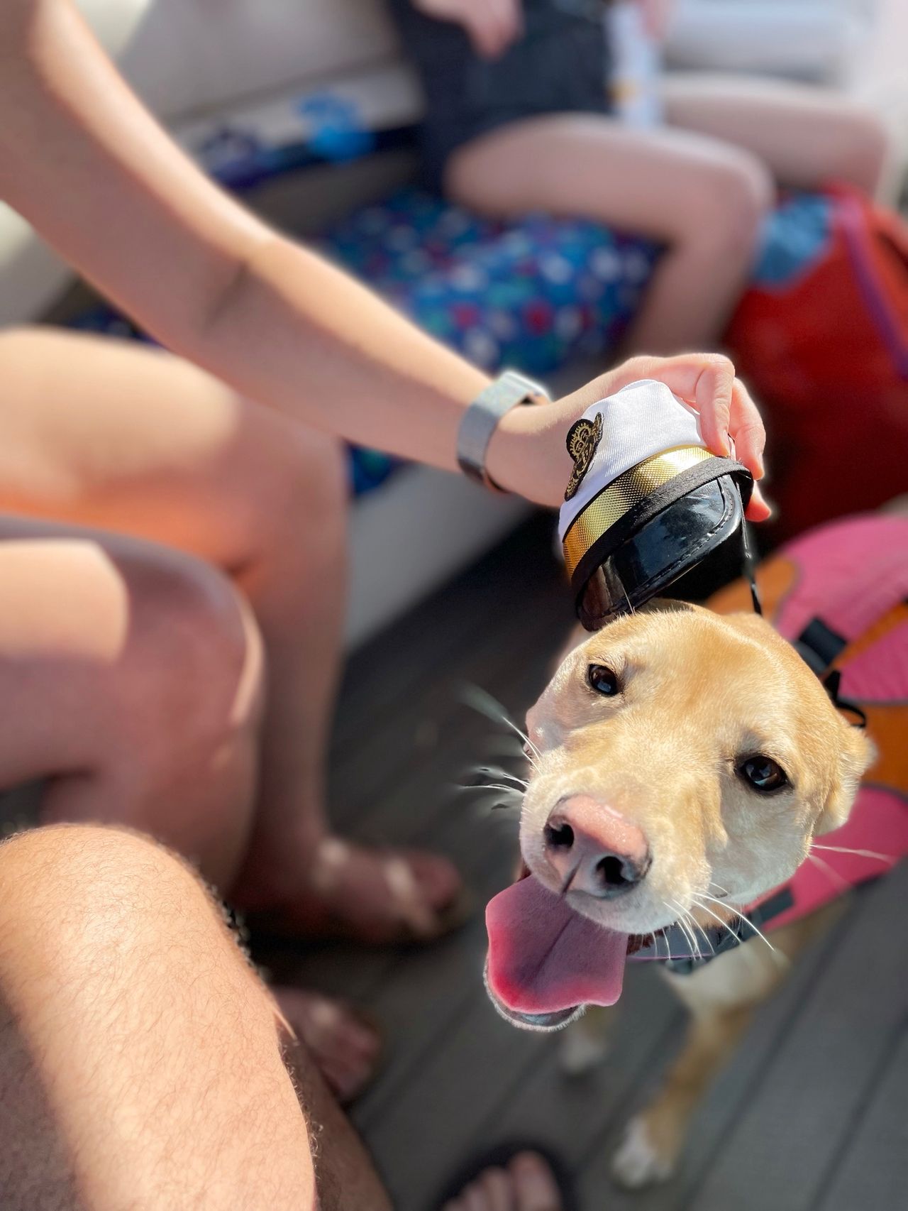 Pulling the captains hat off of Luna.