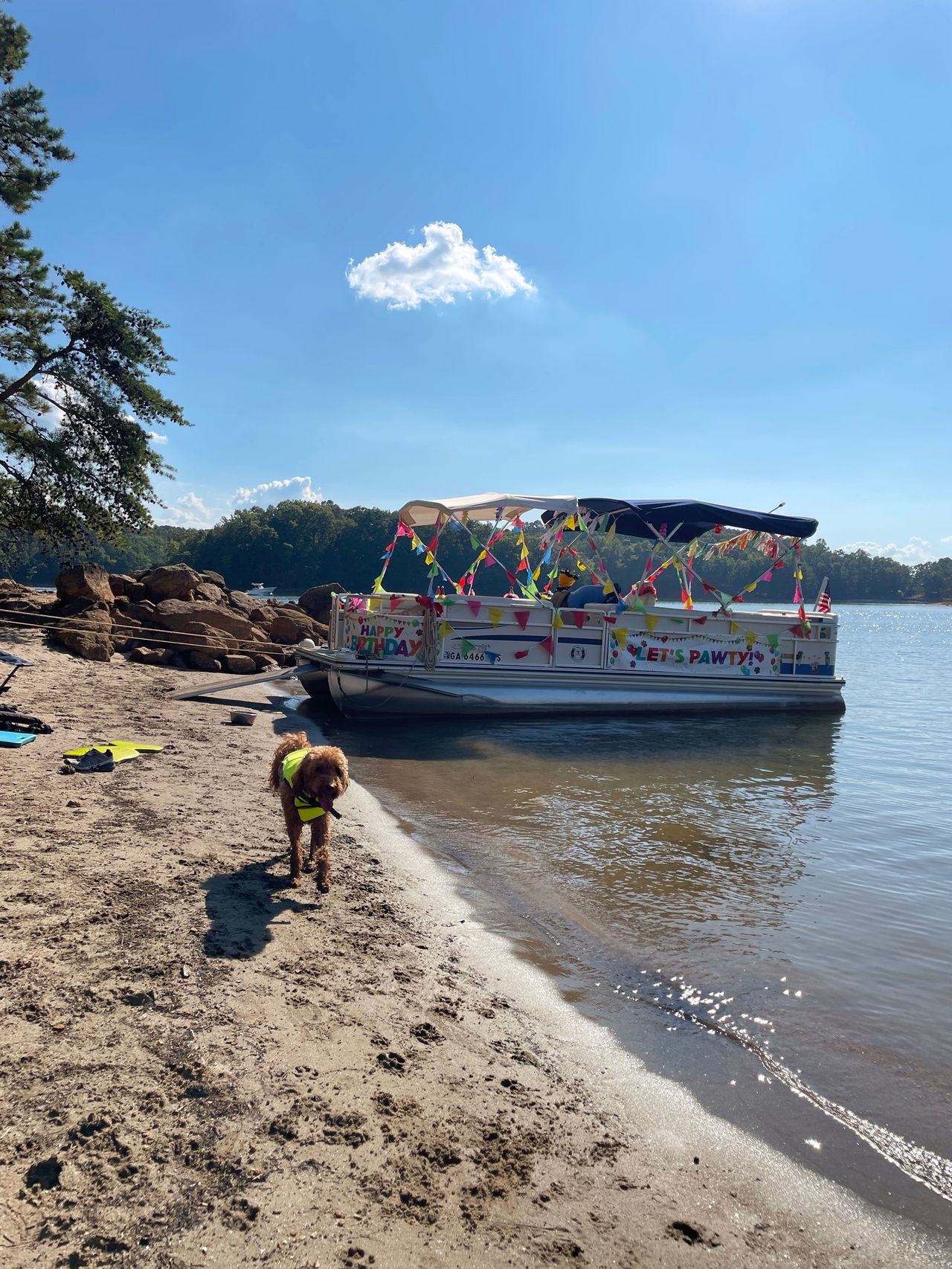 Remi walks down the beach. Pooch Pontoon in the background.
