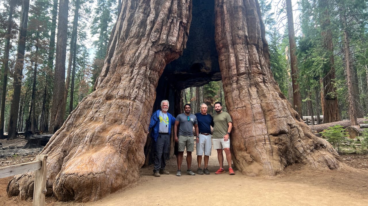 Uncle Ron, Andi, Dad and walking through one of the giant sequoias.