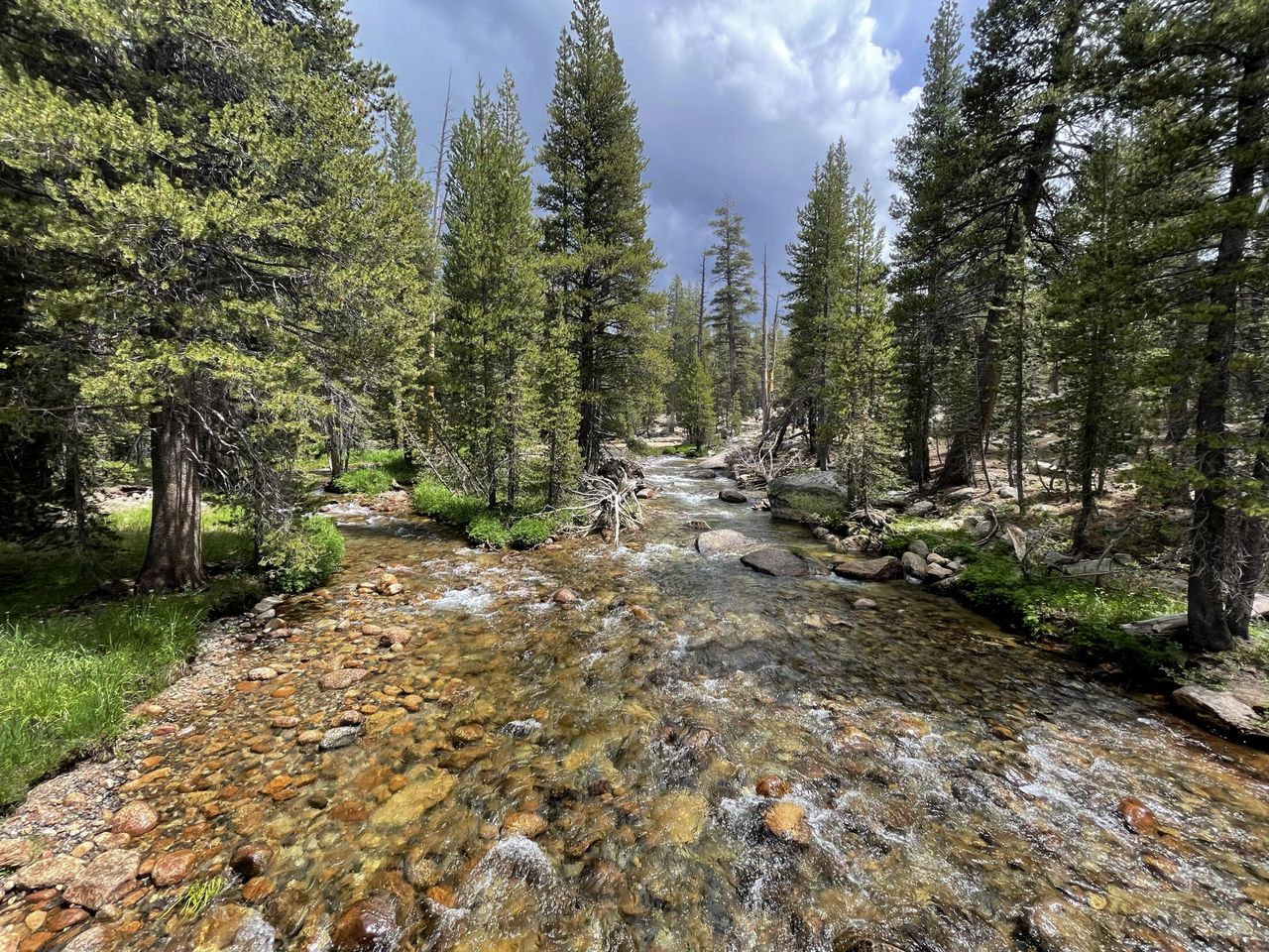 A shot of the river that runs along the John Muir Trail near Tuolumne Meadows.
