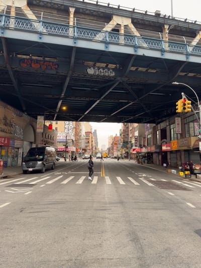 Chinatown and SoHo