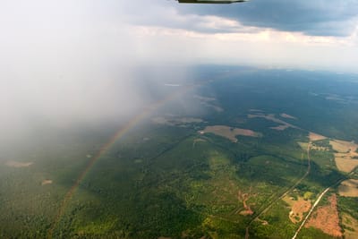 A Day Flying